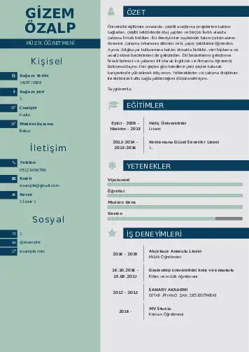 Müzik Öğretmeni Cv Örnekleri cv indir